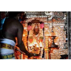 How Many Types of Shani's are there ? What are the Remedies to  get very good results ?